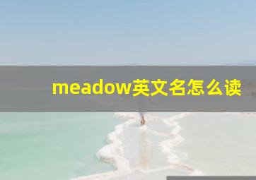 meadow英文名怎么读