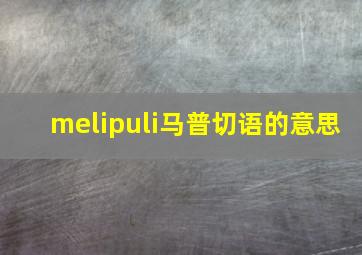 melipuli马普切语的意思