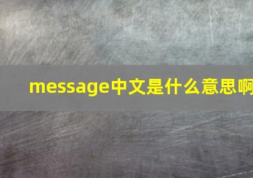 message中文是什么意思啊