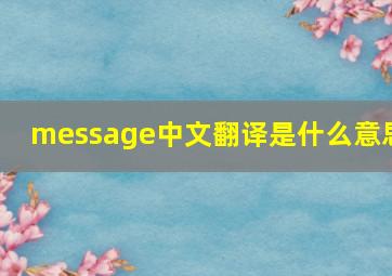 message中文翻译是什么意思