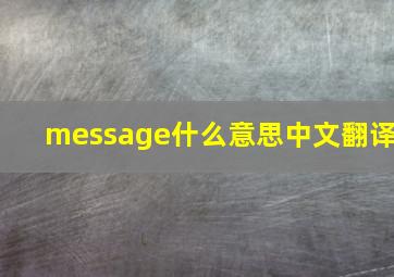 message什么意思中文翻译