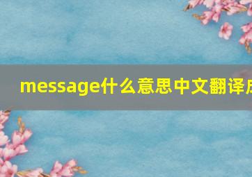 message什么意思中文翻译成