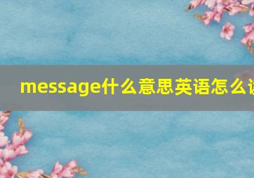 message什么意思英语怎么读