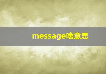 message啥意思