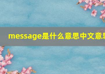 message是什么意思中文意思