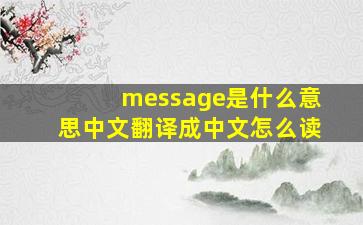 message是什么意思中文翻译成中文怎么读