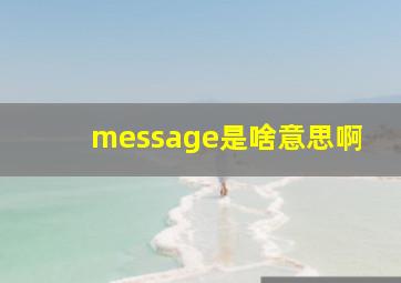 message是啥意思啊