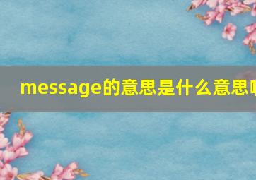 message的意思是什么意思啊