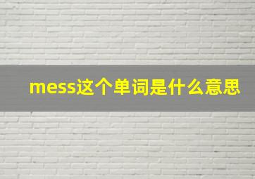 mess这个单词是什么意思