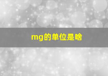 mg的单位是啥