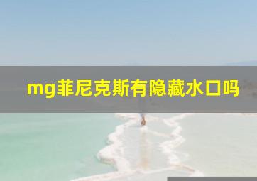 mg菲尼克斯有隐藏水口吗