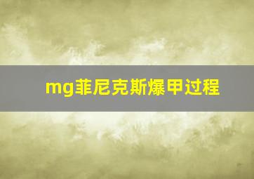 mg菲尼克斯爆甲过程