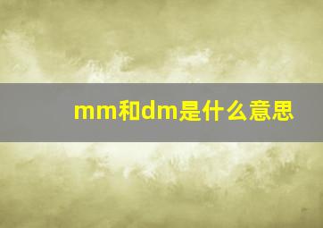 mm和dm是什么意思