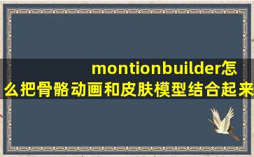 montionbuilder怎么把骨骼动画和皮肤模型结合起来