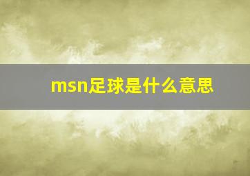 msn足球是什么意思