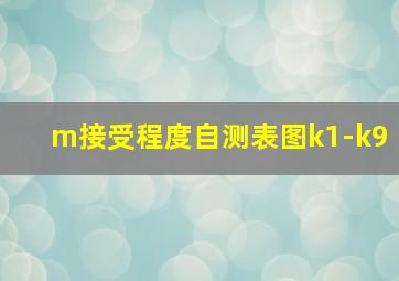 m接受程度自测表图k1-k9