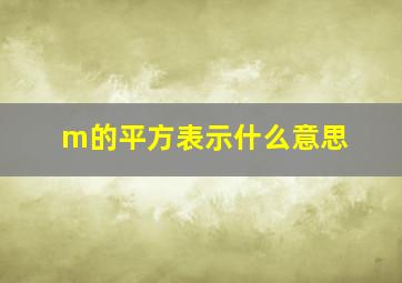 m的平方表示什么意思