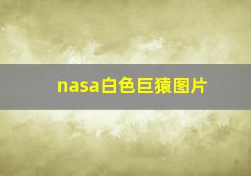 nasa白色巨猿图片