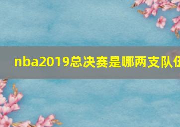 nba2019总决赛是哪两支队伍