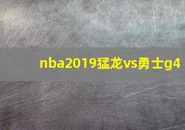 nba2019猛龙vs勇士g4