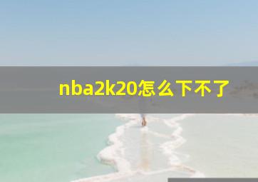 nba2k20怎么下不了