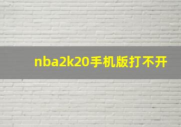 nba2k20手机版打不开