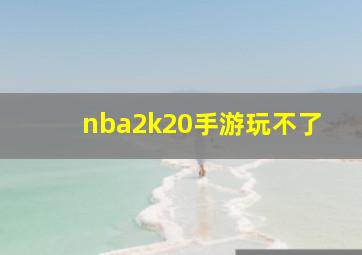 nba2k20手游玩不了