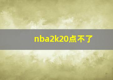 nba2k20点不了