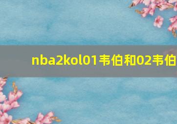 nba2kol01韦伯和02韦伯