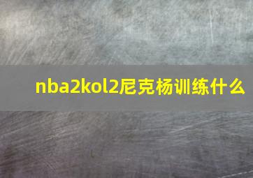 nba2kol2尼克杨训练什么