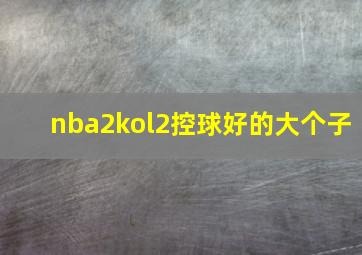 nba2kol2控球好的大个子