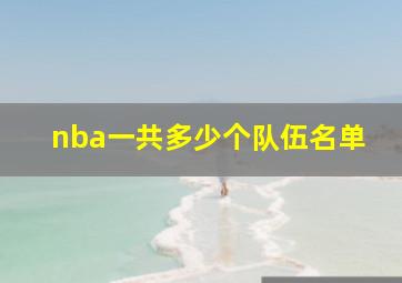 nba一共多少个队伍名单