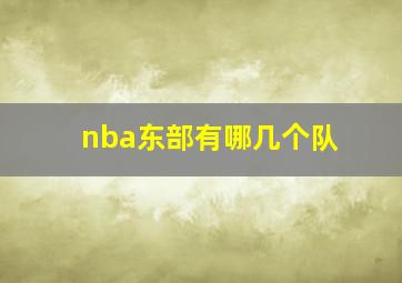 nba东部有哪几个队