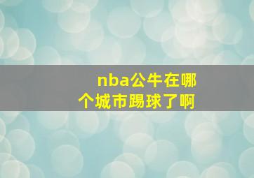 nba公牛在哪个城市踢球了啊