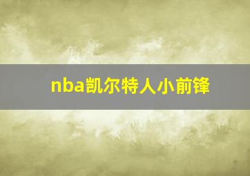 nba凯尔特人小前锋