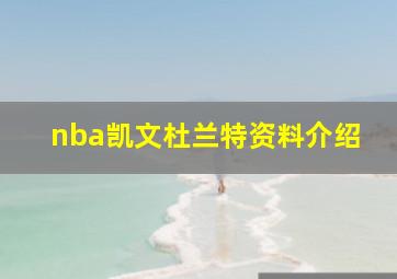 nba凯文杜兰特资料介绍