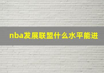 nba发展联盟什么水平能进