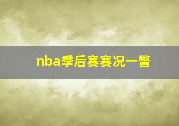 nba季后赛赛况一瞥