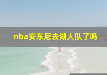 nba安东尼去湖人队了吗