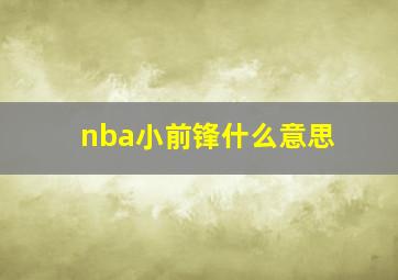 nba小前锋什么意思