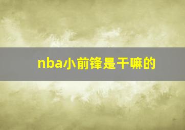 nba小前锋是干嘛的