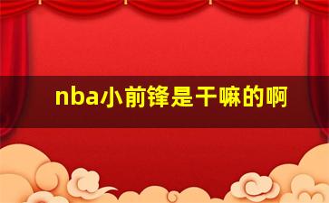 nba小前锋是干嘛的啊