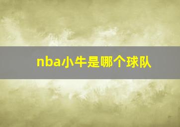 nba小牛是哪个球队