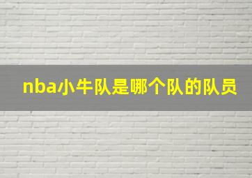 nba小牛队是哪个队的队员