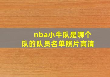 nba小牛队是哪个队的队员名单照片高清