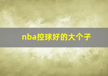 nba控球好的大个子