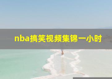 nba搞笑视频集锦一小时