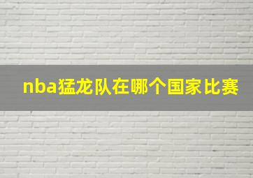 nba猛龙队在哪个国家比赛