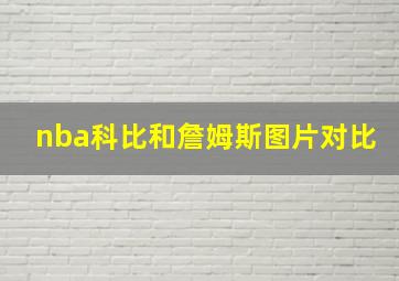 nba科比和詹姆斯图片对比