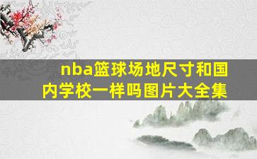 nba篮球场地尺寸和国内学校一样吗图片大全集